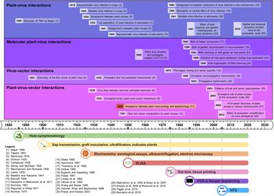 Illuminating an Ecological Blackbox: Using High Throughput Sequencing to Characterize the Plant Virome Across Scales